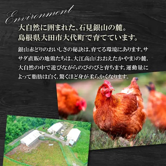 【熟成】銀山赤どり精肉定期便（１羽分×12回お届け）【鶏肉 定期便 地鶏 もも肉 むね肉 1羽分 まるごと 1kg～1.2kg 12回 合計12羽分 定期 鶏 赤鶏 赤どり 熟成 冷凍 真空パック 国