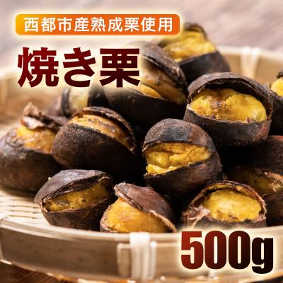 ふるさと納税 西都市 低温熟成栗使用!焼き栗 2パック 合計500g　【先行受付】[2326]