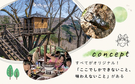 【シャーレ＆コテージピノキオ】平日素泊まり宿泊券（２名様）| コテージ 夏休み 旅行 家族 ファミリー 子連れ 子ども ゲストハウス ツリーハウス アウトドア 外遊び 昆虫 クワガタ カブトムシ 虫捕