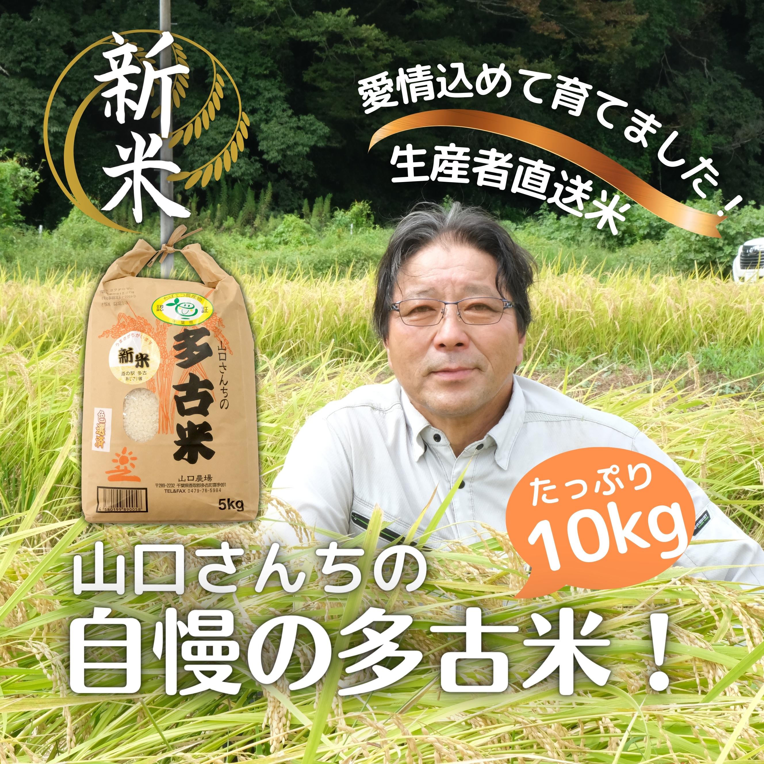 【ふるさと納税】山口さんちの【令和7年産】多古米コシヒカリ(精米)10kg【配送不可地域：離島・沖縄県】【TAKF044】
