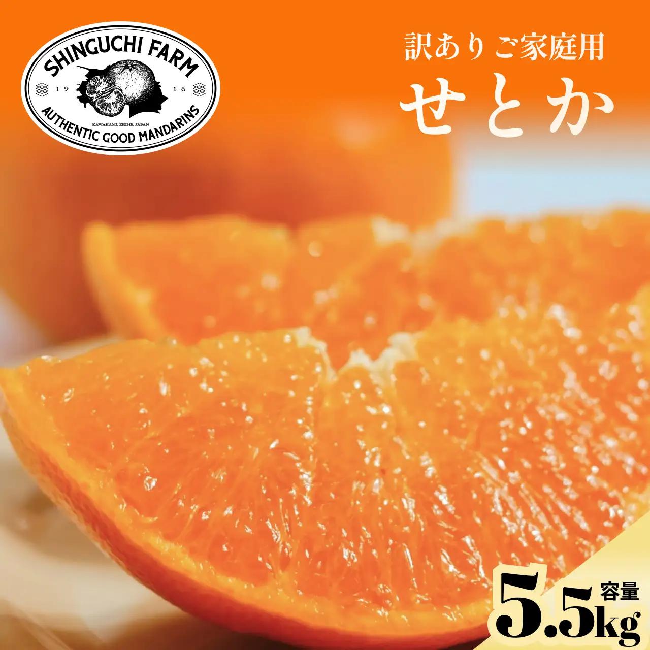【先行受付】訳ありだけど美味しさそのまま【訳あり】せとか 5.5kg【D70-157】 YWTK156