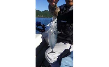 遊漁船 あゆ丸　船釣り体験券【４名様】（エサ・氷付き） 高知 久礼 釣り 体験 魚 エサ 氷 