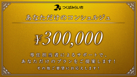あなただけのコンシェルジュ30万円（商品代金9万円分）