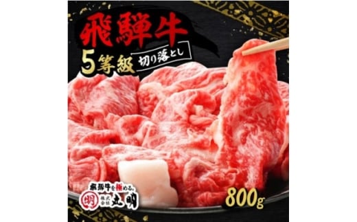 飛騨牛5等級　切り落とし用途いろいろ　800g【1668211】