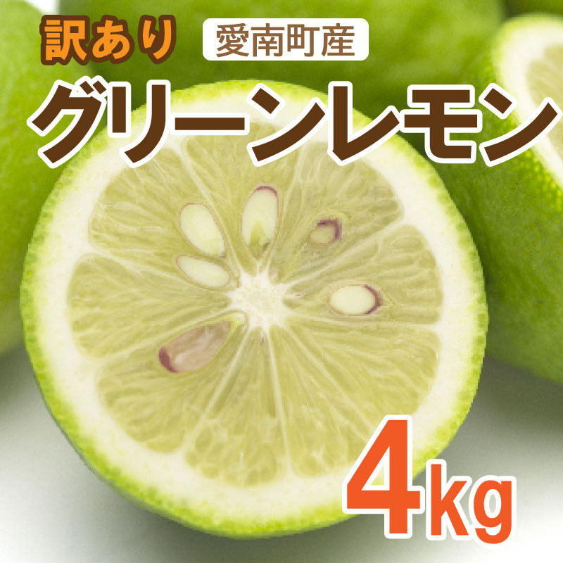 
訳あり レモン（グリーンレモン） 4kg れもん 檸檬 フルーツ 果物 くだもの 柑橘 贈答 ギフト 防腐剤 不使用 レモンサワー レモン果汁 炭酸水 ビタミンC クエン酸 疲労 回復 ストレス 解消 免疫力 向上 大容量 国産 産直 皮ごと 丸ごと みかん 蜜柑 文旦 ポンカン ミカン ひなたのみかん 愛媛県 愛南町
