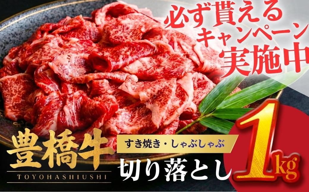 
            【在庫限り】豊橋牛 切り落とし 1kg  (200g×5パック）  | 牛肉 肉  国産牛 肉 焼肉 すき焼き 牛 不揃い 冷凍  すき焼き・しゃぶしゃぶ すぐ届く 国産 牛肉 ブランド牛 スライス 小分け 年内発送 年内配送 年内配送できるものリピーター肉 続出 赤身 肉 202512 数量限定 肉 牛肉切り落とし 牛切り落とし 12000円
          