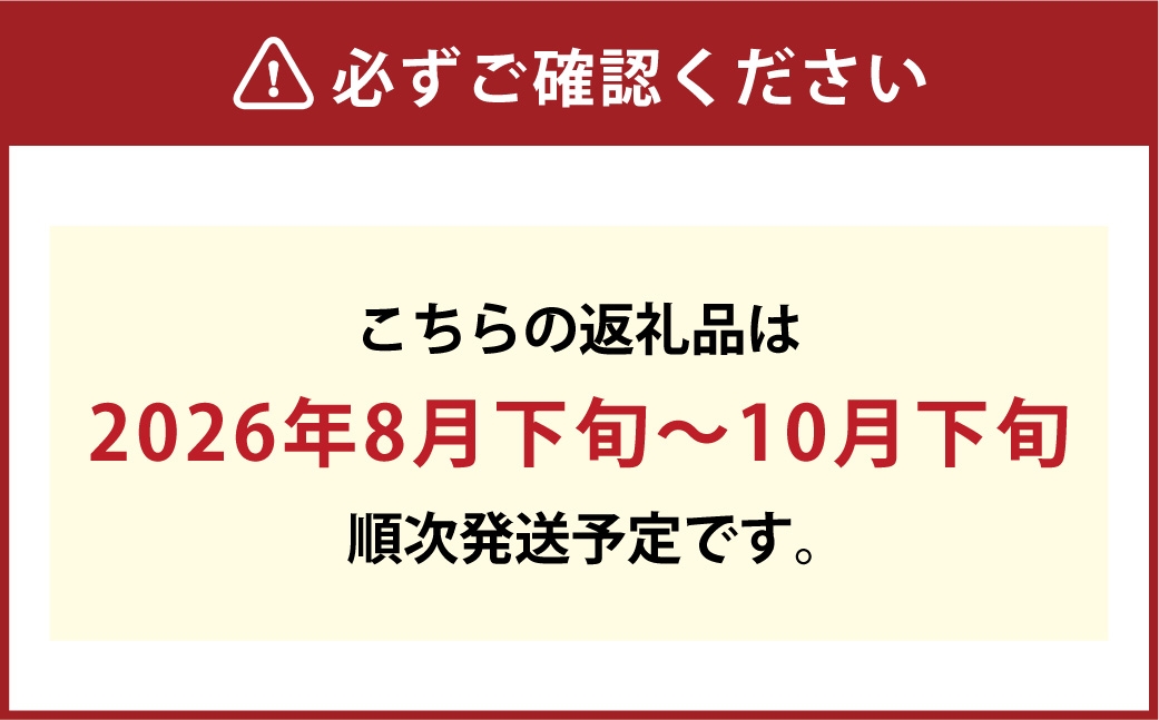 岡山県産ニューピオーネ 約500g×2房 計約1kg