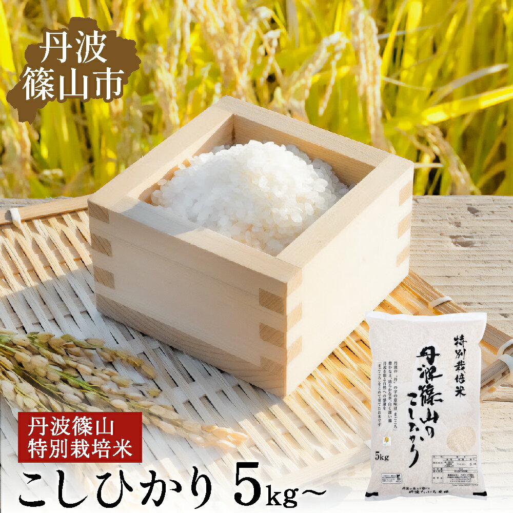 【ふるさと納税】【予約】令和7年産(2025年産) 丹波篠山産 特Aランク 特別栽培米 こしひかり 5kg 10kg 20kg 西の魚沼と呼ばれる 丹波篠山 コシヒカリ！白米【100％単一原料米】産地直送 贈答 おいしい お米 精米 コシヒカリ 米10 キロ ブランド おこめ 健康 お試し ギフト