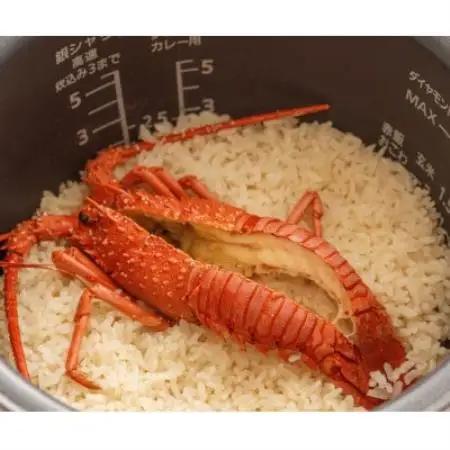 極　潮風そそる海鮮飯　伊勢海老(2合炊き)【配送不可地域：離島】【1743211】