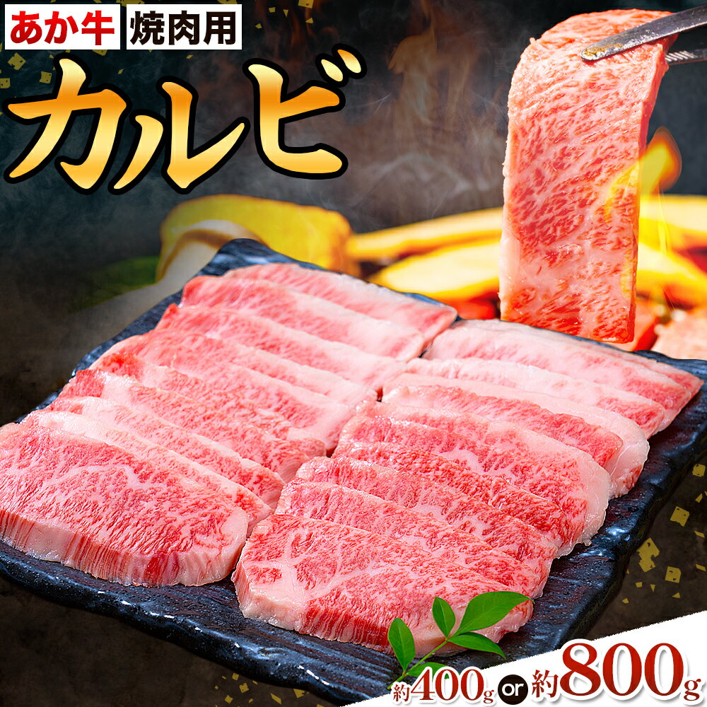 【ふるさと納税】あか牛カルビ 焼き肉用 選べる内容量 約400g 約800g 合同会社たべたせいか《30日以内に出荷予定(土日祝除く)》熊本県 菊池市 肉 牛肉 お肉 和牛 あか牛 焼き肉 焼肉 やきにく BBQ バーベキュー カルビ 熊本県産 冷凍 送料無料