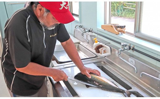 大和ｶﾝﾊﾟﾁ半身(ﾌｨﾚ)約1.2kg?1.5kg×2枚かぶと付き N072-YD0192