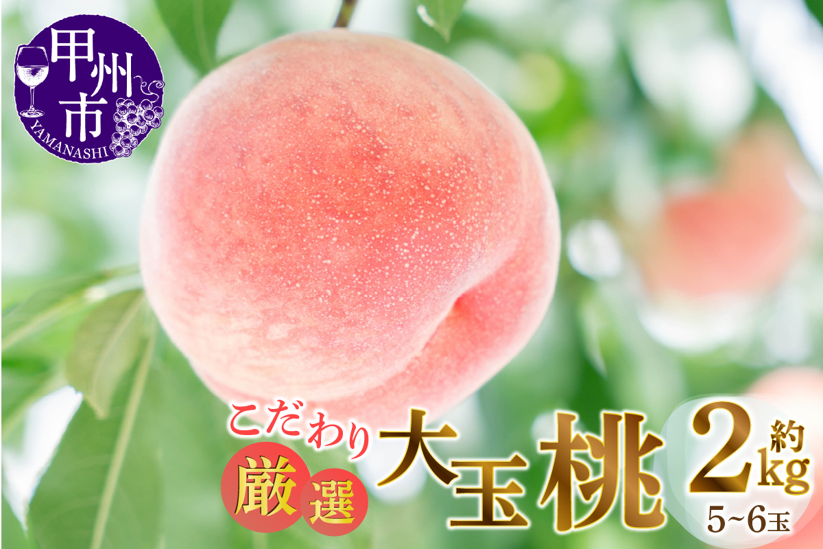 甲州市産厳選旬の桃大玉 約2kg 5～6玉入り【2027年発送】（MG）B-481