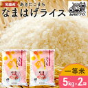 【ふるさと納税】R6年度産 先行予約 【あきたこまち】なまはげライス5kg×2　 米 お米 精米 あきたこまち 計10kg キャンペーン