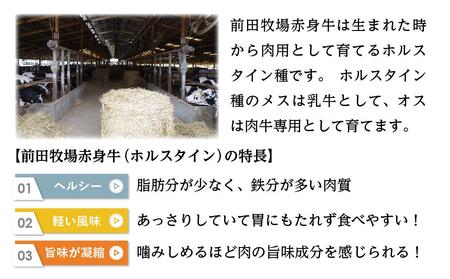 【大田原 前田牧場赤身牛直送】ヒレまるごと1本（4～5キロ）