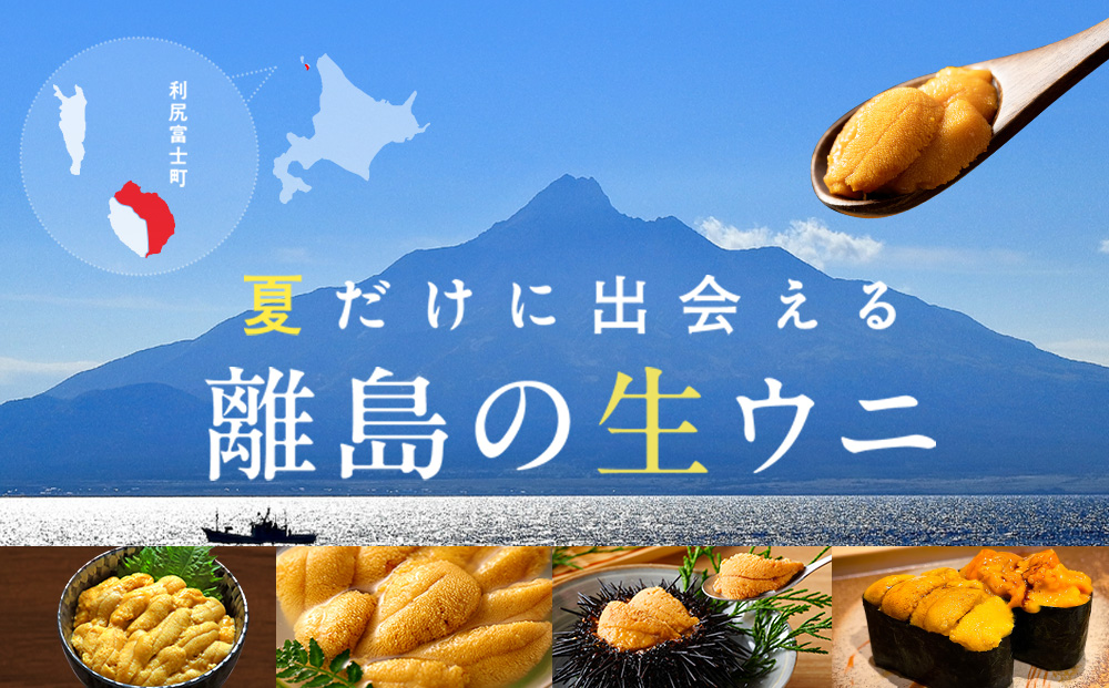 【2027年7月発送】キタムラサキウニ 100g (100g×1パック) ＜利尻漁業協同組合＞