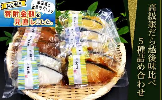 H7-86D【訳あり】 西京漬け 銀だら 詰め合わせ 80g×5種×2切 計10切 銀鱈 ギンダラ ぎんだら セット 食べ比べ 個包装 味噌漬け 塩糀漬け 柚庵漬け 粕漬け