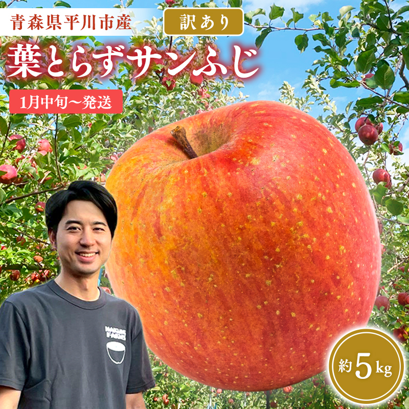 ≪2027年1月上旬頃より発送≫青森県産 訳あり 葉取らずサンふじ 約5kg【青森県 平川市 なるみ農園】家庭用 訳アリ 青森 青森県産 平川 りんご リンゴ 林檎 くだもの 果物 フルーツ 