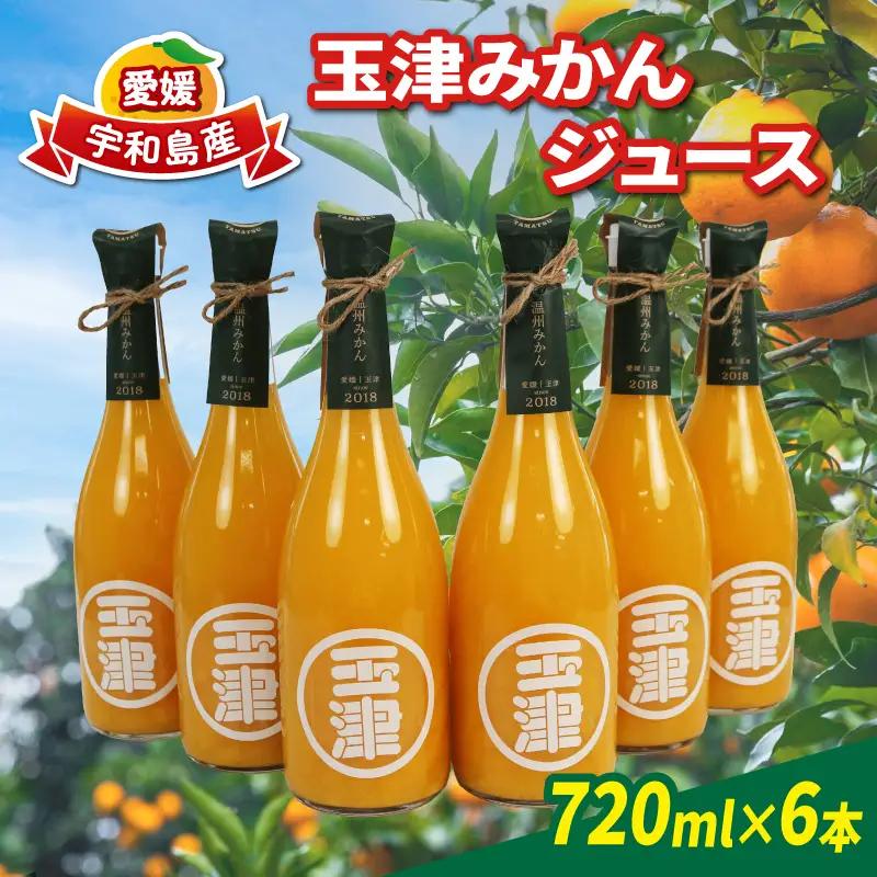 みかんジュース 720ml× 6本 玉津柑橘倶楽部 みかん H024-072051