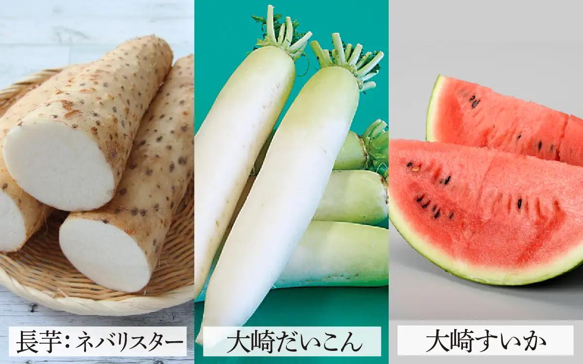 かほく市 農産物ブランド 6品目セット 