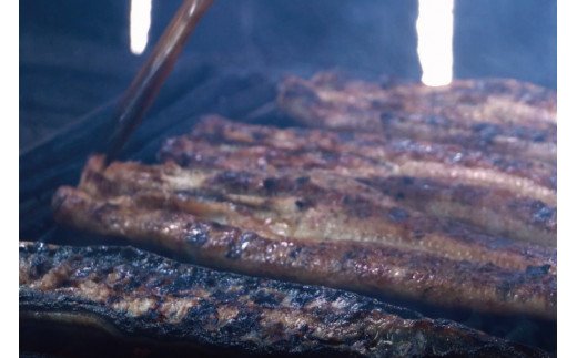 極上！国産うなぎ蒲焼 1尾（約200g） 創業100年以上続く老舗 紀州備長炭でじっくり焼き上げた専門店の味 （タレ・山椒付き）/ うなぎ ウナギ 鰻 蒲焼 国産 ふるさと納税【skr001A】