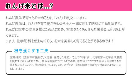 れんげ米の米粉(500g×3個)化学肥料等を使わず作った米が原料のため安心安全！