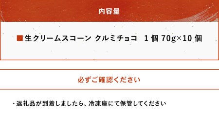 発酵バター香る濃厚リッチな生クリーム スコーン (クルミチョコ) 10個セット 手作り チョコレート お菓子 ギフト 焼き菓子 スイーツ 大分県産 九州産 中津市 国産 熨斗対応可