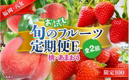 九州・福岡フルーツ王国八女　お試し旬のフルーツ定期便【全２回】 E｜＜配送不可：北海道・沖縄・離島＞ あまおう 苺 いちご イチゴ もも 桃 モモ 果物 くだもの フルーツ 定期便 デザート 旬 もぎたて 直送 福岡県 八女市