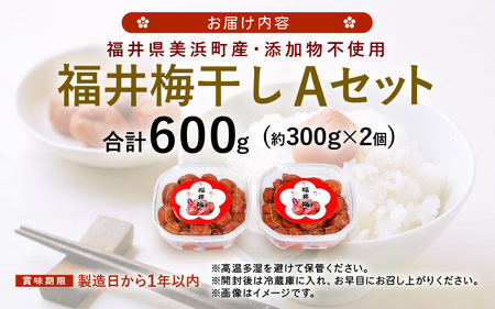 福井 梅干し Aセット（300g × 2個）【 うめ 無添加 】[m20-a007]