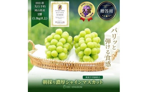 
            ぶどう 2026年  シャイン マスカット 2房（合計1.3kg以上）【第1回全国ぶどう選手権入賞】| シャインマスカット 贈答クラス  ブドウ 葡萄  岡山県産 国産 フルーツ 果物 ギフト OEC KINGDOM ぶどう家
          