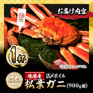 ＜先行予約受付中！11月中旬～2月下旬発送予定＞【マルツPREMIUM】活〆ボイル松葉蟹(900g～・平日着※指定日不可) 魚介 海鮮 海の幸 カニ かに 蟹 松葉ガニ 活〆 ボイル 焼きガニ 鍋 弾