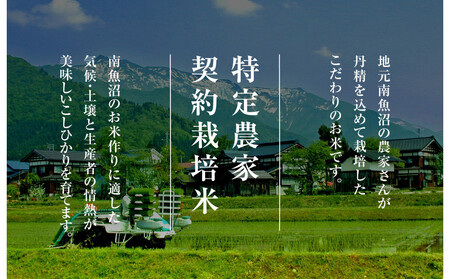 雪温精法 南魚沼産こしひかり1kg 契約栽培  雪蔵貯蔵米