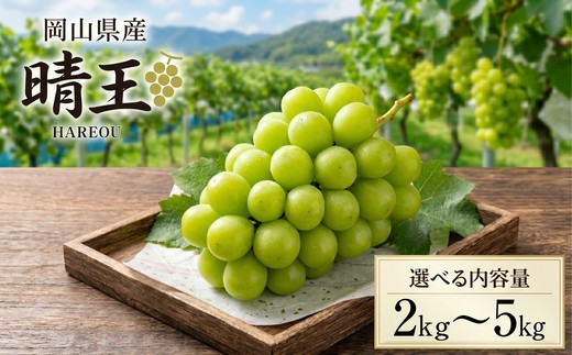 
                  岡山県産 シャインマスカット 「晴王」 選べる内容量 2kg 5kg ぶどう フルーツ お中元 ギフト 御祝 御礼 贈答用 プレゼント 敬老の日 高級 フルーツギフト 産地直送 送料無料
                