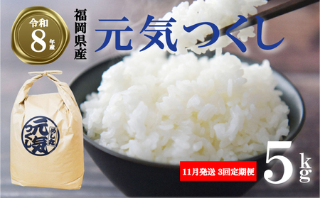 【 期間限定!! 寄付額改定!!】《令和8年産先行予約！2026年11月発送》米 元気つくし 5kg 3回定期便 |米 FRF