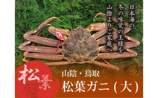 
                  特選とっとり松葉ガニ (大)【山根商店】
                