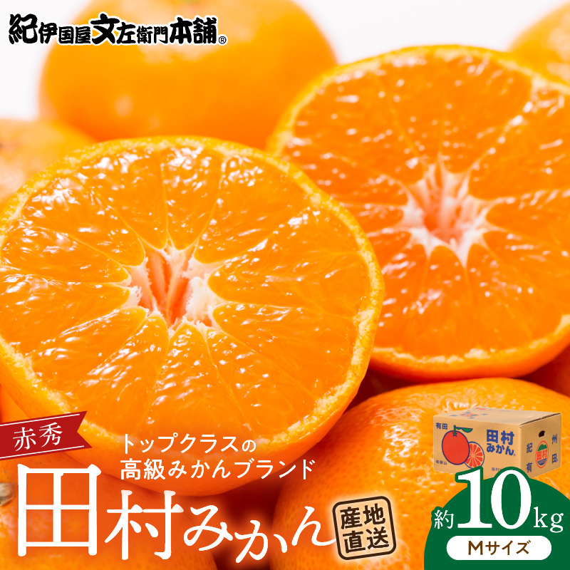 V7443_【2026年先行予約】田村みかん／特選ギフト品10kg【Mサイズ】赤秀