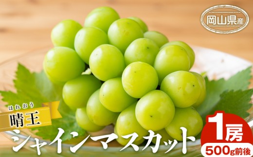 
                  シャイン マスカット 2026年  晴王 1房 500g前後 マスカット ブドウ 葡萄  岡山県産 国産 フルーツ 果物 ギフト
                