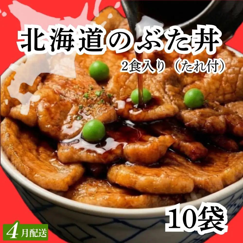 【2027年4月配送】ホクレン 北海道のぶた丼 （2食入り）250g×10袋 北海道産 豚肉使用 産地直送 冷凍