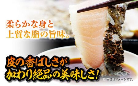 ふっくら香ばしい！鰆の炙り 6人前 さわら サワラ 魚魚 料理 和食 簡単 レシピ 魚介類 海産物 海鮮 刺身 ギフト 江田島市/秋宝丸[XCK002]