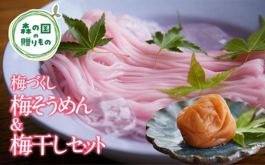 【松野町産 南高梅使用】香りひろがる梅そうめん・梅干しセット ◆ ※うす塩味（500g） ｜ 梅干し 梅 うめ 南高梅 しそ漬 肉厚 手延べ 五色 そうめん 文部科学大臣賞 受賞 マツノイズムプロジェクト マツノイズム 愛媛県 松野町 高校生 特産品 ふるさと納税 お取り寄せ