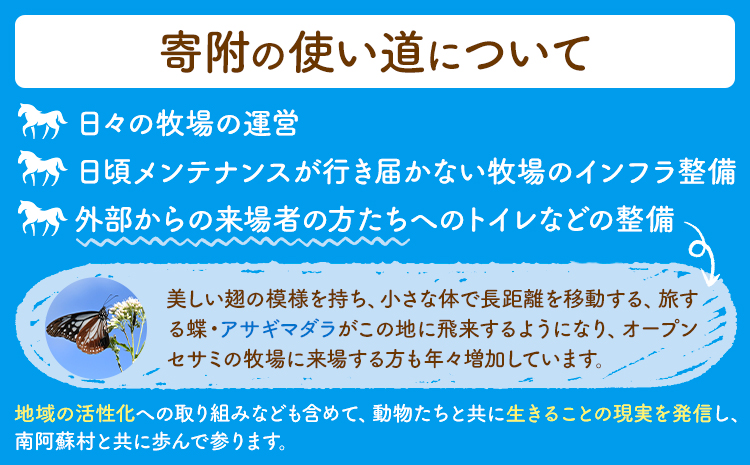 【返礼品なし】引退馬余生支援寄附 3,000,000円 一般社団法人オープンセサミアライブ 熊本県 南阿蘇村 馬 ウマ 支援 競走馬 引退馬 生活支援 動物愛護 保護 返礼品なし 寄附 牧場 オープン