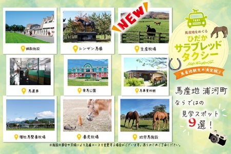 馬産地をめぐる「ひだかサラブレッドタクシー」3時間(3,4名様)コース[41-1103]
