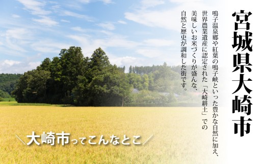 新米 ＼先行予約／ 令和8年産 ひとめぼれ 5kg 精米 米 白米 ごはん 宮城県 大崎市| tm-htm-10kg-r8