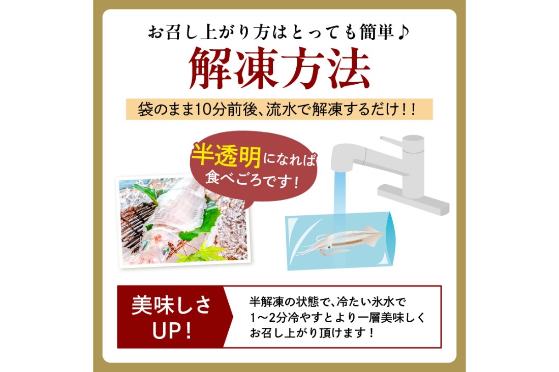 【先行予約】京丹後産『海の京都』の逸品！！　活白イカ姿造り（クリスタル白いか）超特大サイズ 1杯（500g前後）（2025年6月上旬～発送）　YK00302