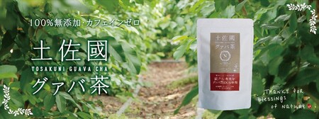 国産有機栽培グァバ葉100％使用 土佐國グァバ茶（2g×10包）