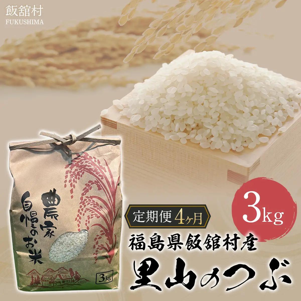 【4か月定期便】【令和7年産】 飯舘村産 里山のつぶ 3kg 