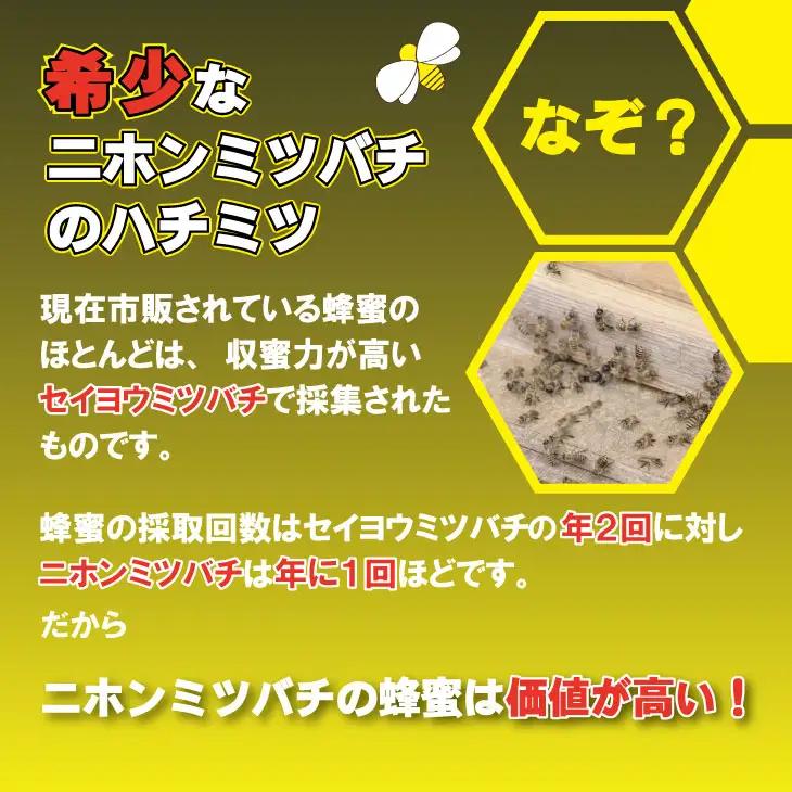 はちみつ 日本蜜蜂 百花蜜 500g はちみつ 国産 B120-080