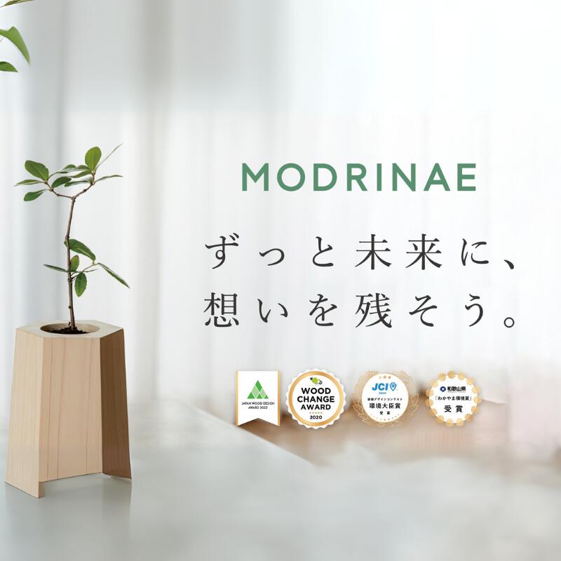 【ふるさと納税】 戻り苗 【どんぐりを育て、森に返す】 （ヒノキの鉢タイプ） 1セット ※2025年秋頃から配送 / 観葉植物 苗 苗木 植物 育苗 鑑賞 鉢植え 和歌山 どんぐり 紀州材 檜 ソマノベース 森