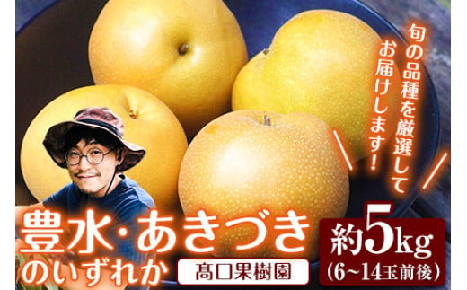 
            【2025年 先行予約】旬の梨 あきづき 豊水 のいずれかをお届けします！ 約5kg (6～14玉前後) 熊本県荒尾市産 髙口果樹園《2025年9月上旬-9月下旬頃出荷》フルーツ 果物 
          