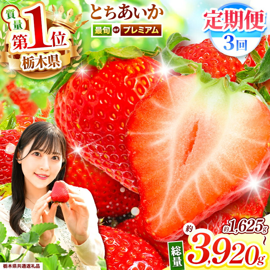 【ふるさと納税】 苺 最旬 プレミアム とちあいか 【先行予約】【定期便3回】| 定期便 いちご イチゴ フルーツ 果物 とちあいか おいしい いちご王国 特産品 栃木県共通返礼品 栃木県 下野市 しもつけ市