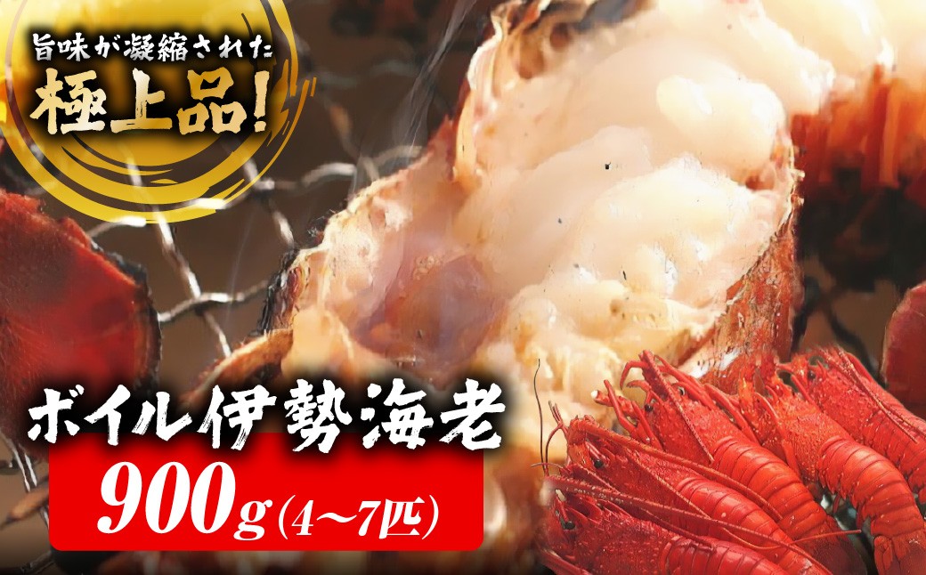 
                  B129 ボイル伊勢海老Ａ　ONJC007
                